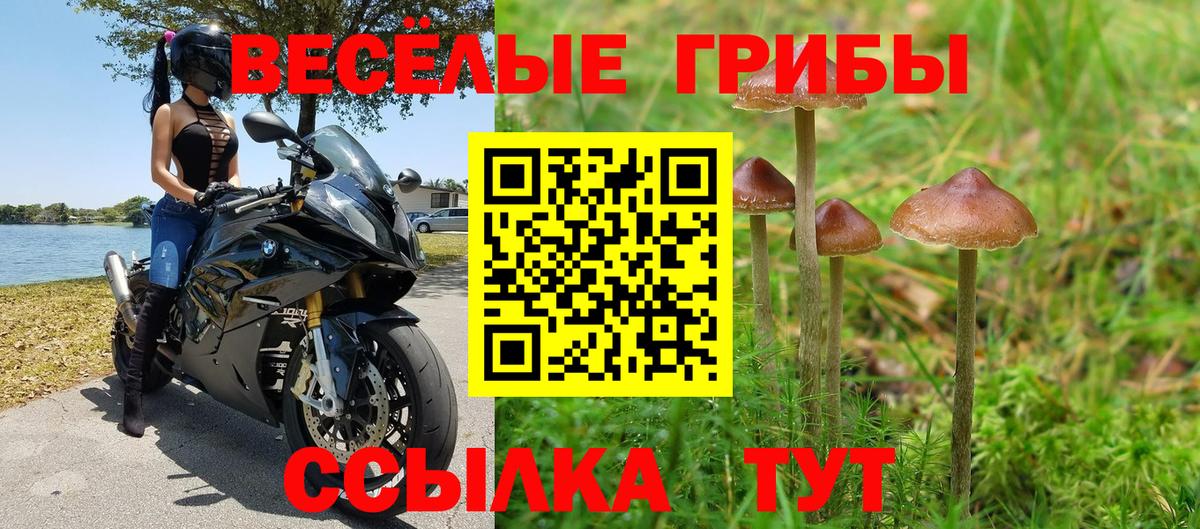 Галлюциногенные грибы мицелий Вологда