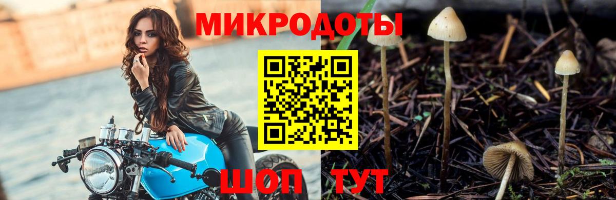 Вологда  Галлюциногенные грибы прущие грибы  Псилоцибиновые грибы Psilocybe  Вход с VPN 